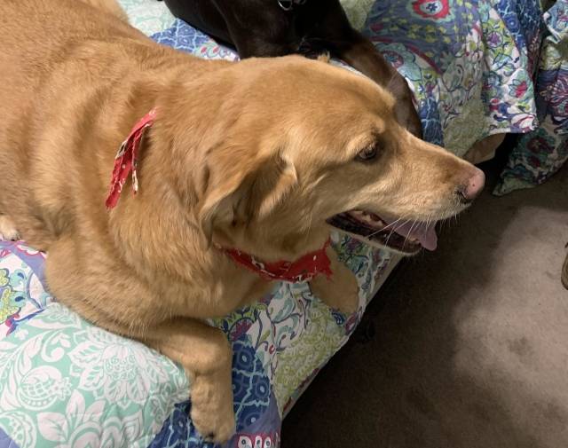 Cooper with cousin Tucker