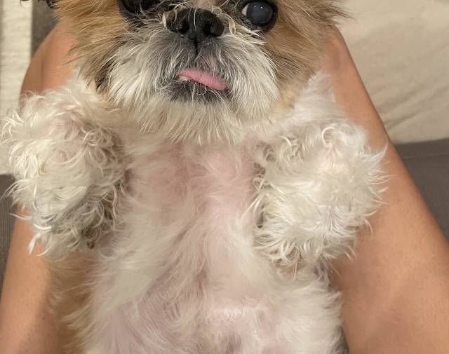 Chewy Gallery Image 2