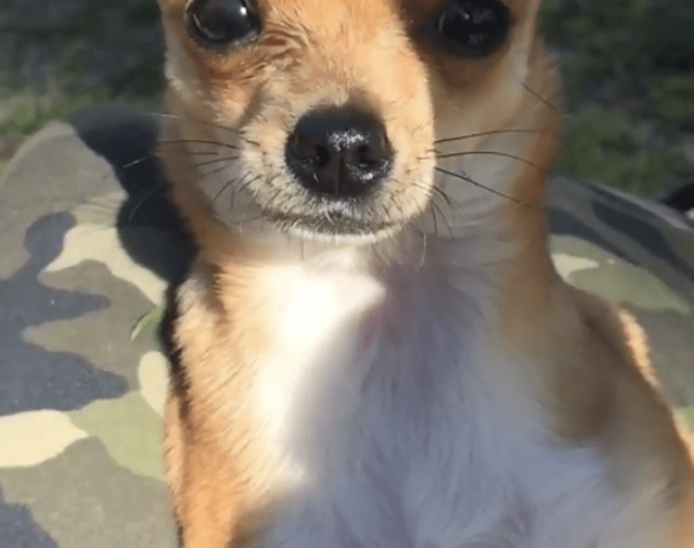 Jewelz Profile Image