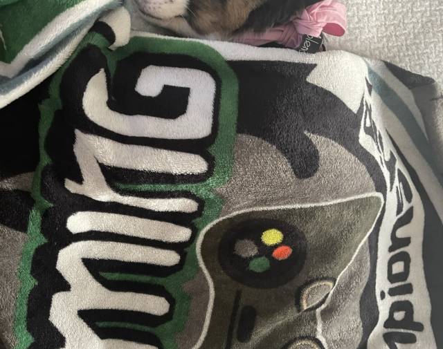 Gigi😴