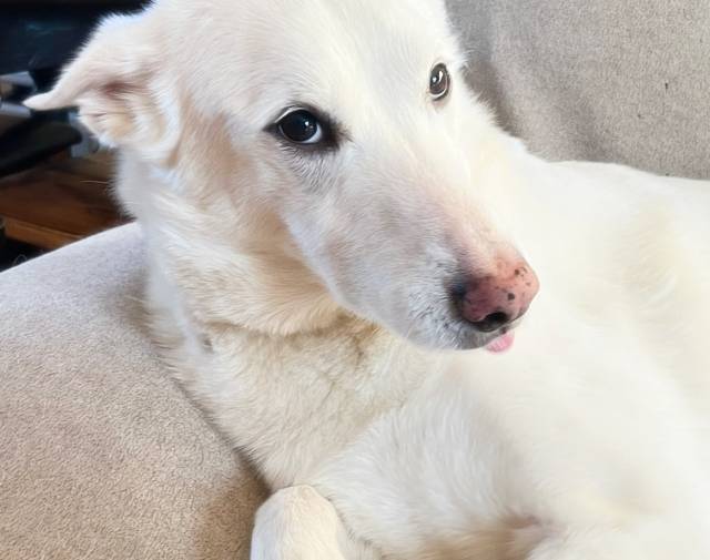 He loved sticking his tongue out.