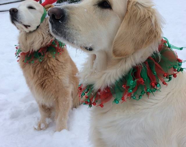 Annie & Ruby