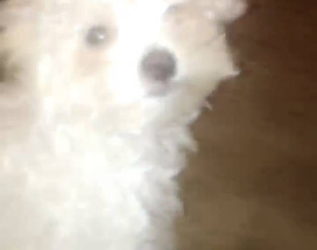 Lollie Gallery Image 1