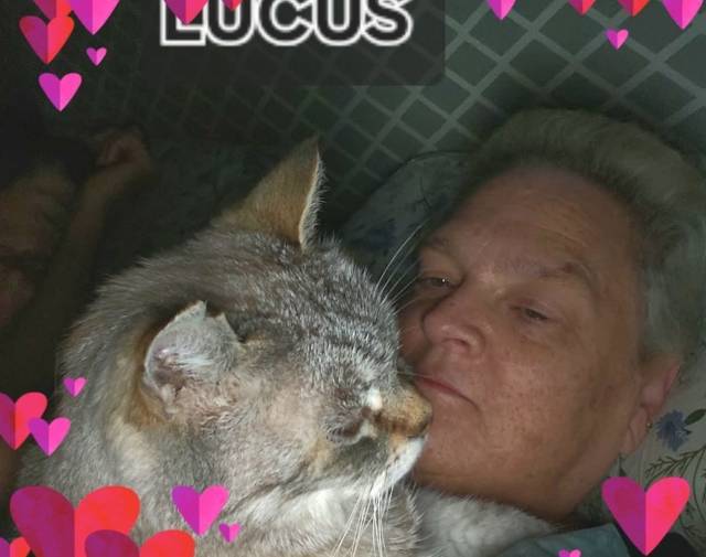 Lucus Profile Image