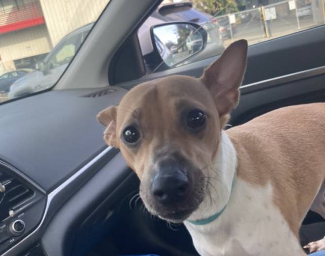Skippy Profile Image