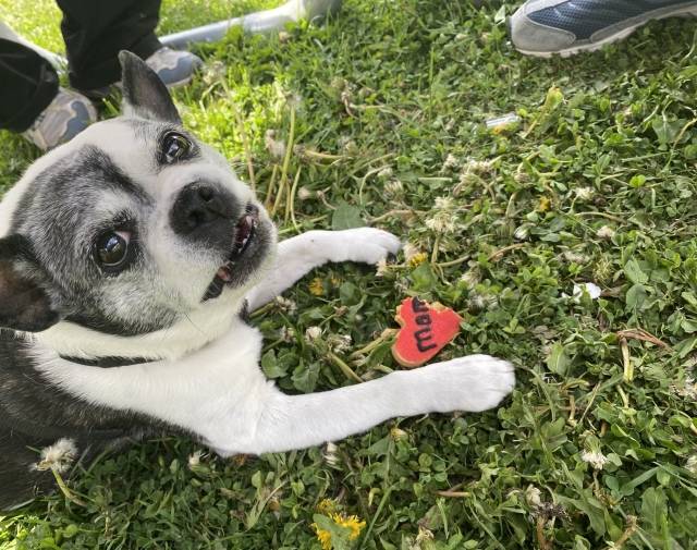 Gracie Girl Gallery Image 8