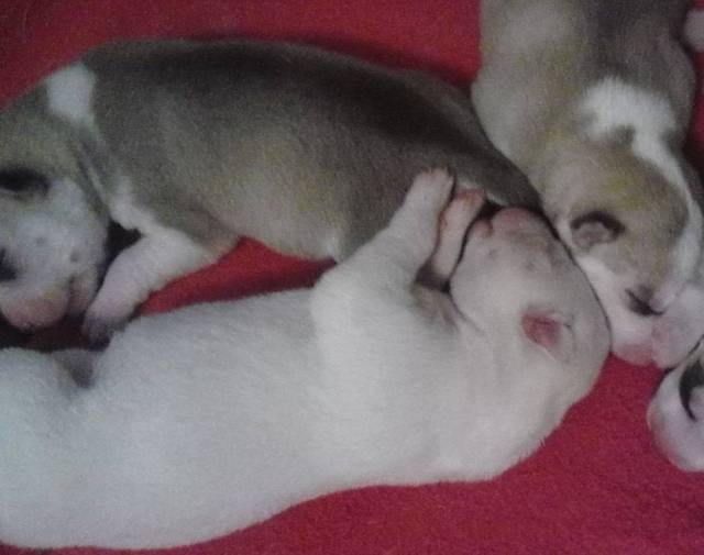Snows when she was 1 day old.