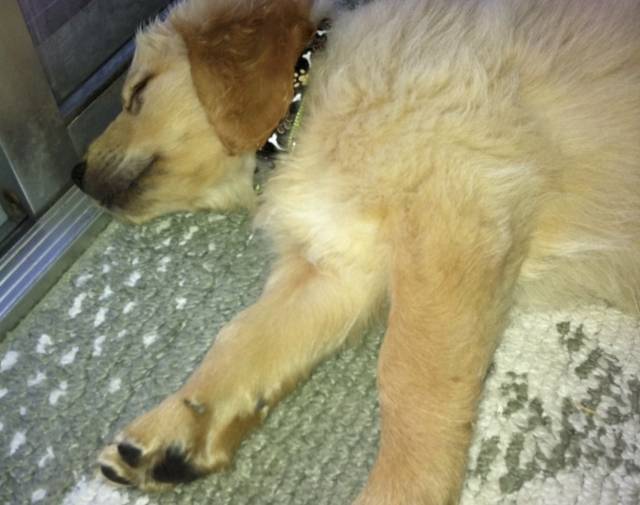 Cooper Profile Image
