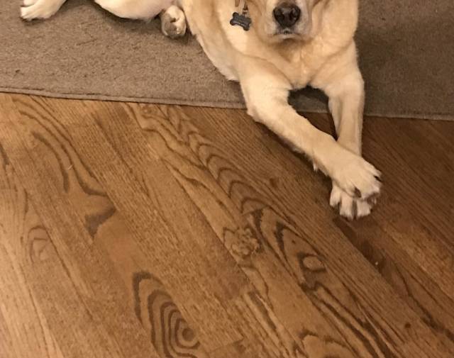 Remington Mae 