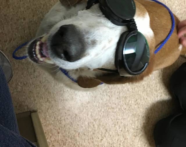 Sunny getting laser treatments 
