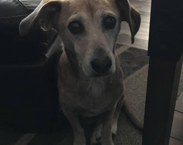 Annie Profile Image