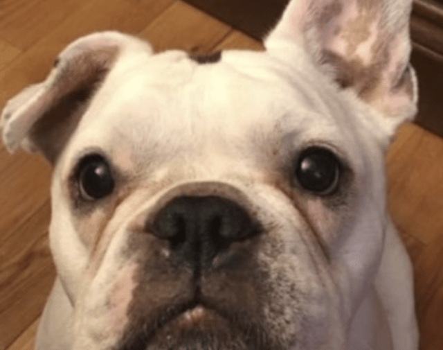 Rocky Profile Image