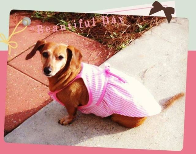 Jill Gallery Image 1