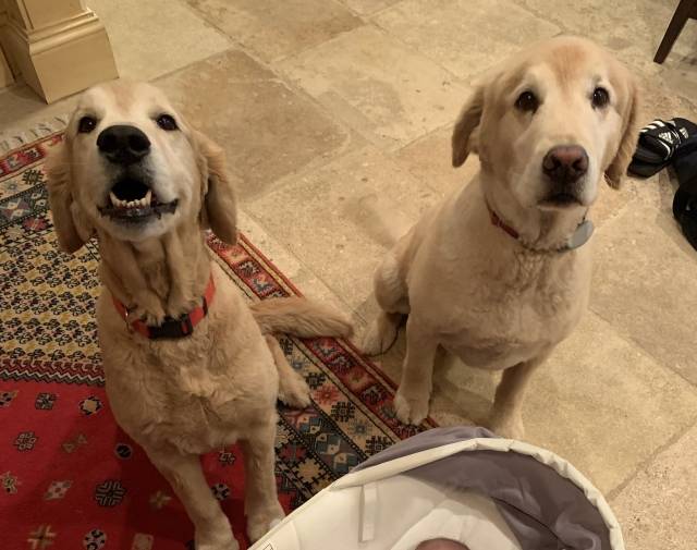 Lucy and Bailey Townsend  Profile Image
