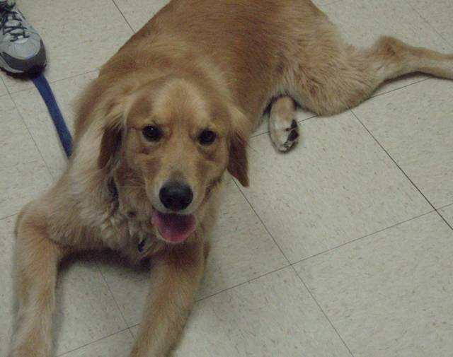 Bailey Gallery Image 5