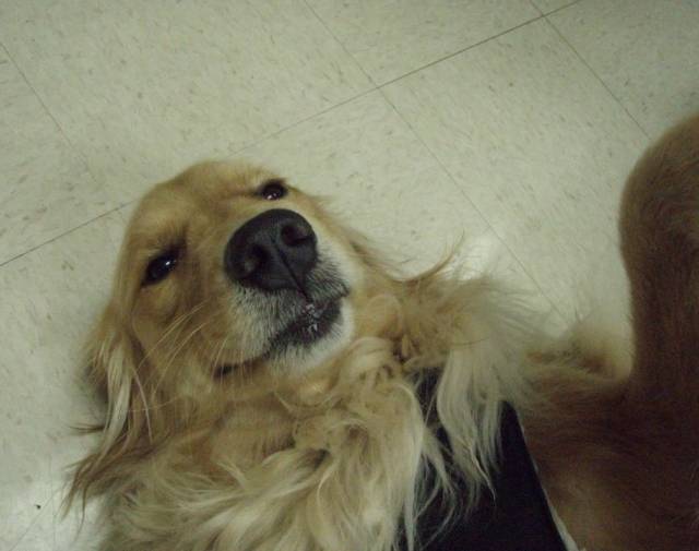Bailey Gallery Image 7