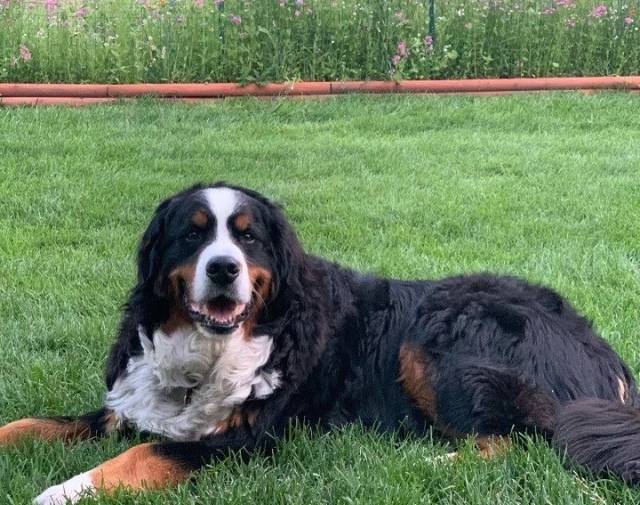 Barkley Profile Image