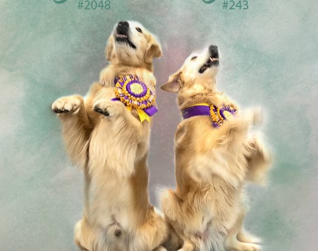 Cali & Gideon Profile Image
