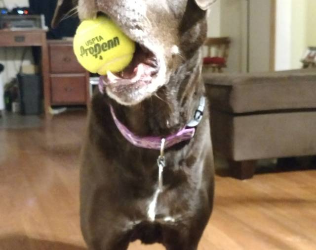 She’s the cutest when she wants to play 