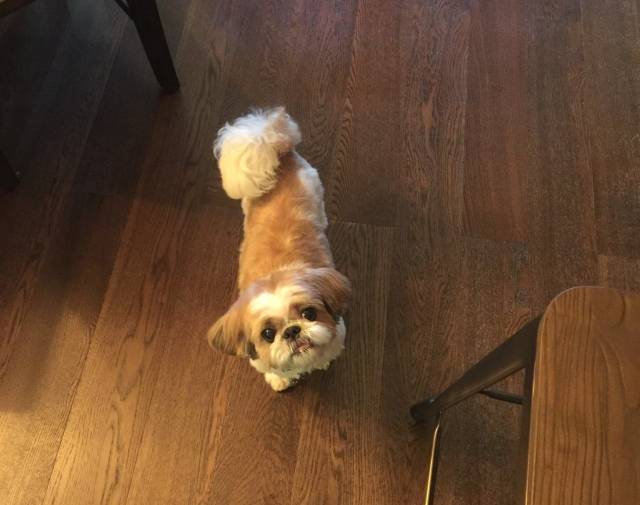 Chewy Gallery Image 7