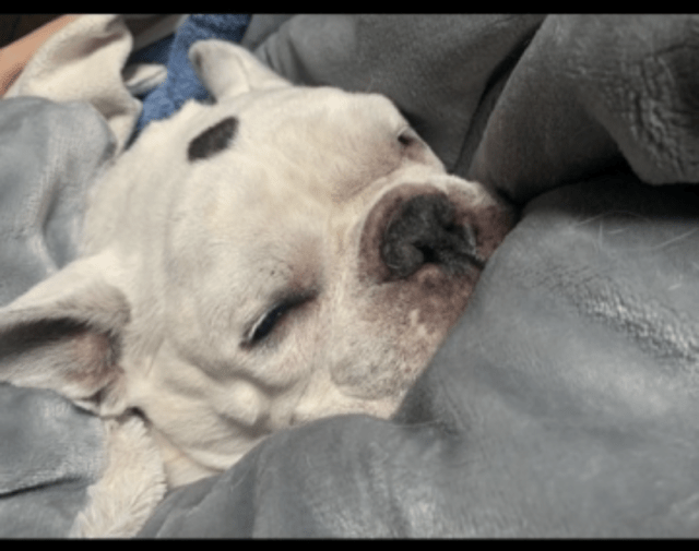 Rocky Gallery Image 5
