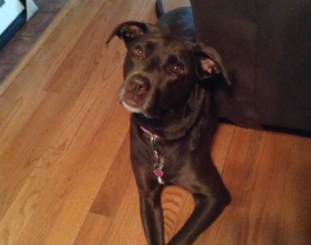Our #1 Girl