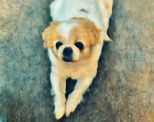 Falcor Gallery Image 6