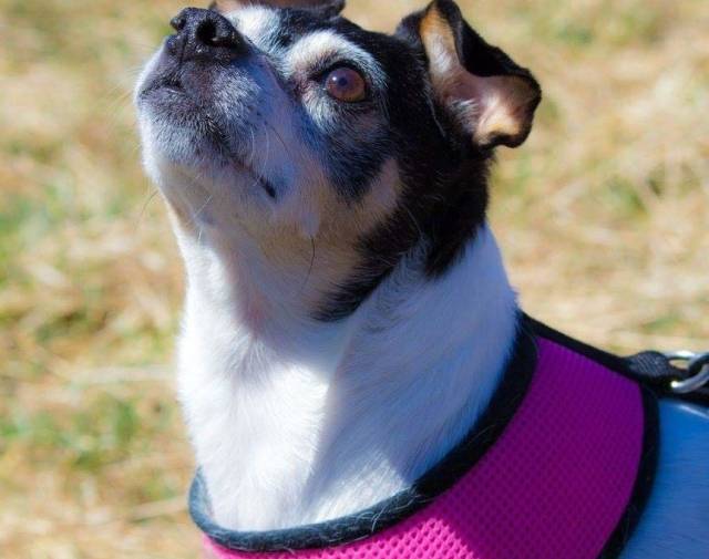 Phoebe  Profile Image