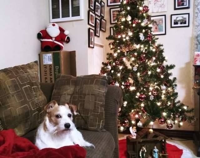 Merry Christmas 