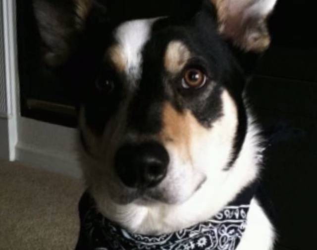 Wyatt Profile Image