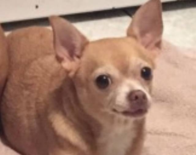 Bucky Profile Image