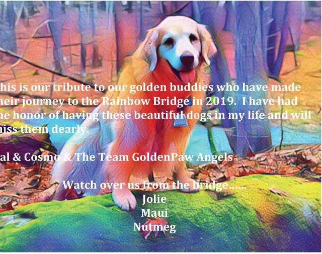 Friends of Team GoldenPaw 2019 Profile Image