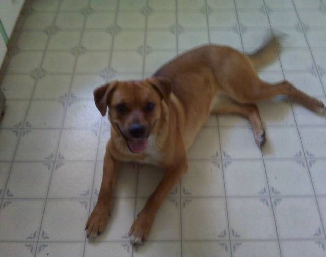 Cinnamon 2nd day with me