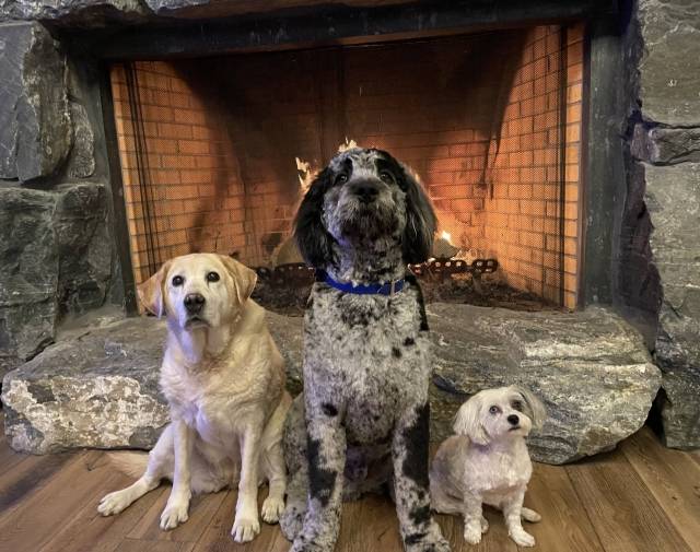 Remi, Griz and Talulah 
