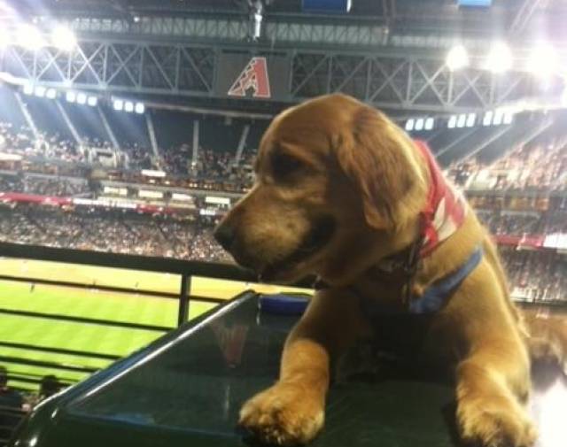 Jerico at Chase Field