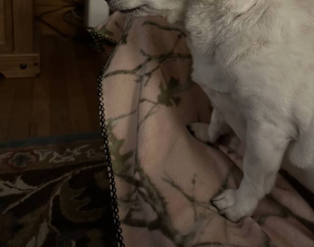Emily Gallery Image 3