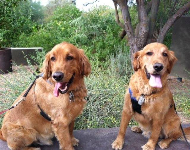 Carson & Jerico at the Botanical Garden