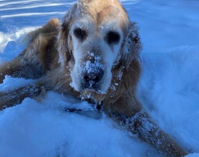 Jerico's snow day  