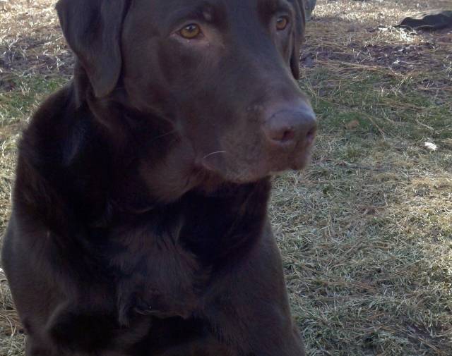 Jake Profile Image