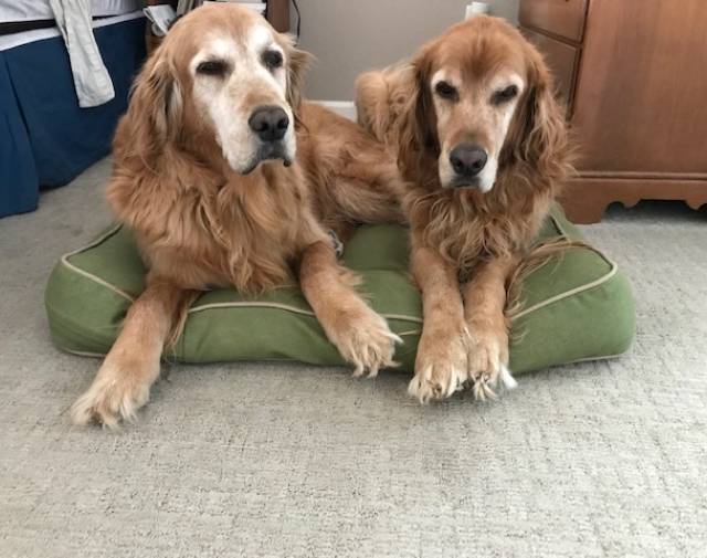 Jerico & Carson chilling