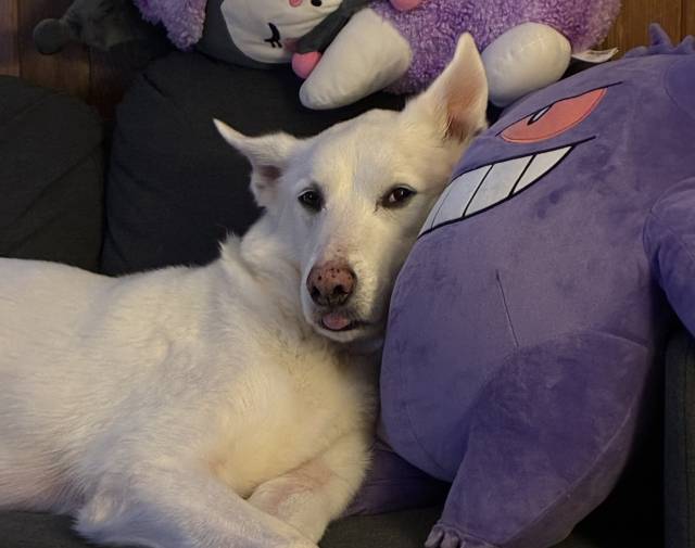His natural state.
