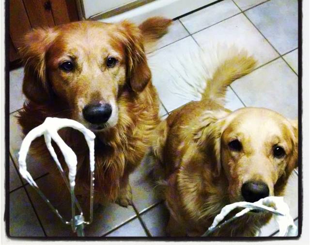 Nash Nash and Zoe, Thanksgiving Treats