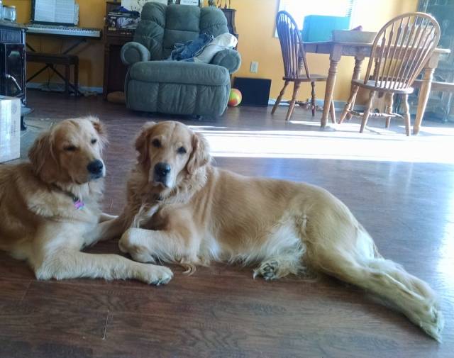 Zoe (R) and her baby, Jake (L)