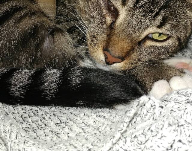 MacGyver Gallery Image 1