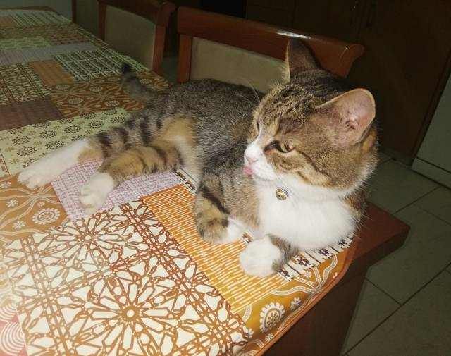 Tobby  Profile Image