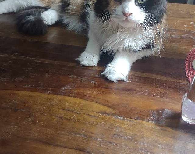 Macy Profile Image