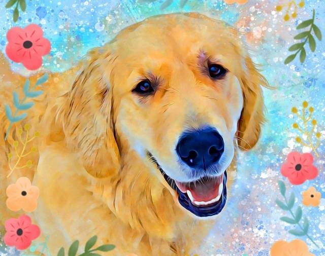 Floyd  Profile Image