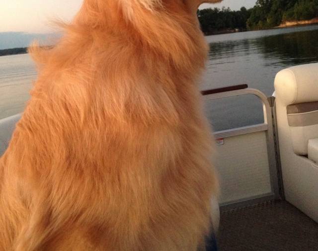 Dipper loved to go for a boat ride