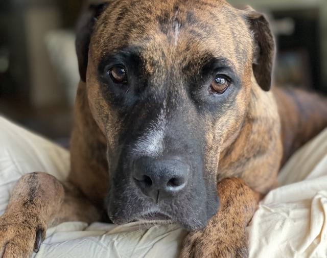 Tucker Profile Image