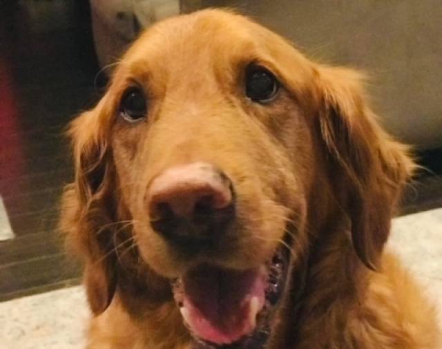 Grady Profile Image